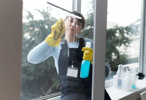 Nettoyage de vitres intérieures et extérieures à Ger